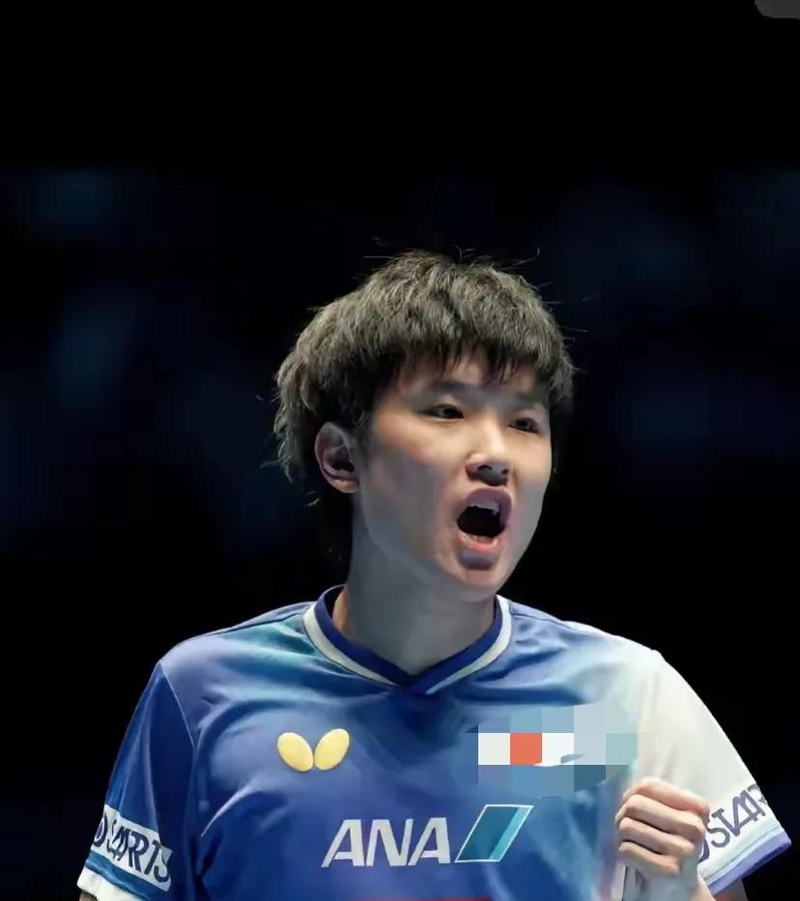 开云体育官方网站-奥地利队逆转韩国队，张本智和刷新纪录  第2张